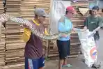 ular-piton-4-meter-makan-enthok-warga-jekulo-kudus.jpg
