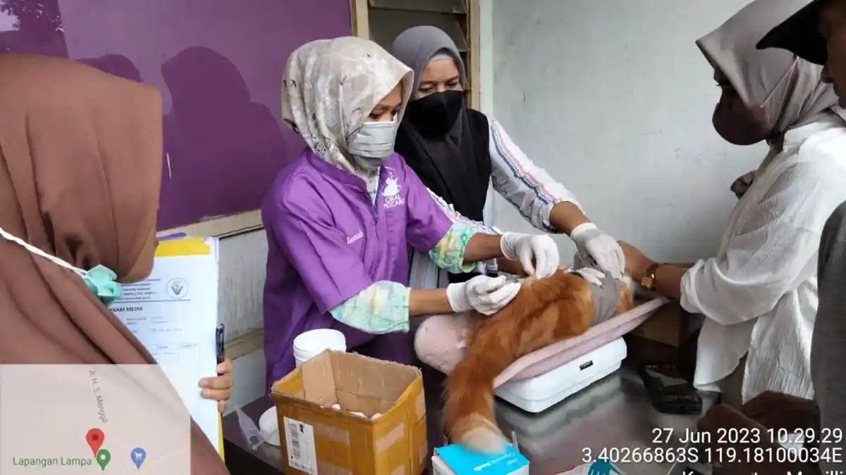 5 Ribu Anjing dan Kucing di Sulbar Sudah Disuntik Vaksin Rabies