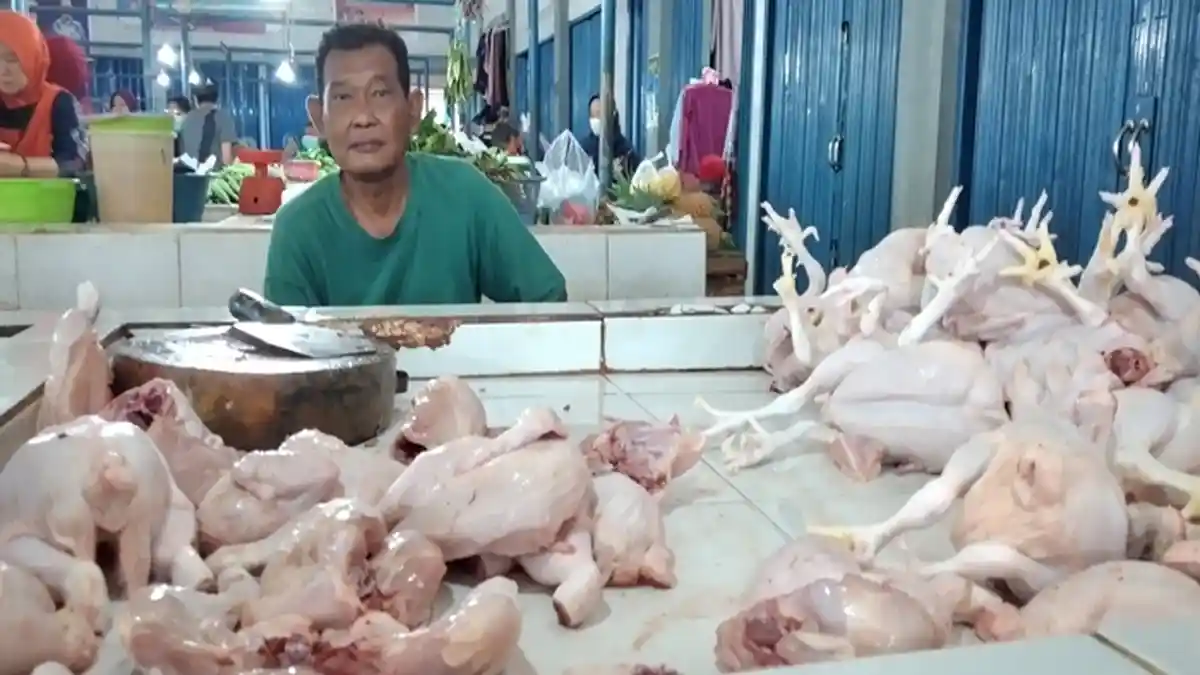 Update Harga Sembako di Palembang Rabu 6 Juli 2022, Harga Ayam Potong Masih Melambung Tinggi