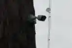 Rw 03 Maphar Menjadi Pilot Project Terpasang 48 CCTV