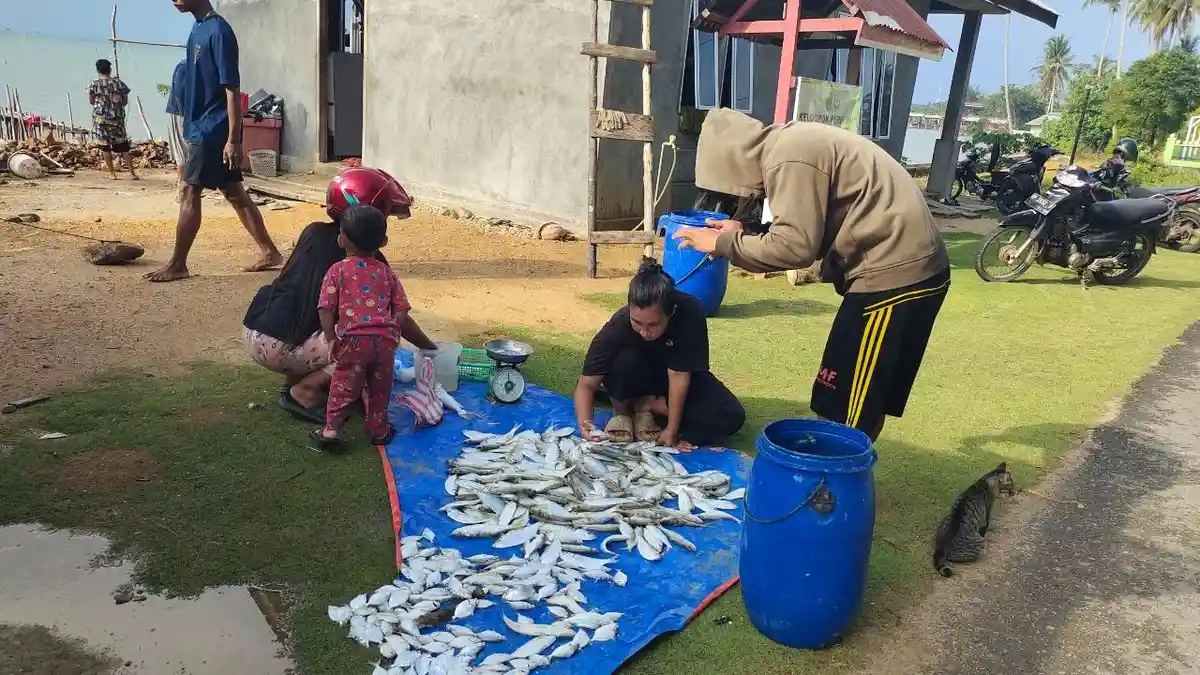 Ikan Beliak Mata di Lingga Kepri Melimpah, Incaran Para Pembuat Bakso dan Pempek - Nelayan-jual-ikan-di-Lingga.jpg