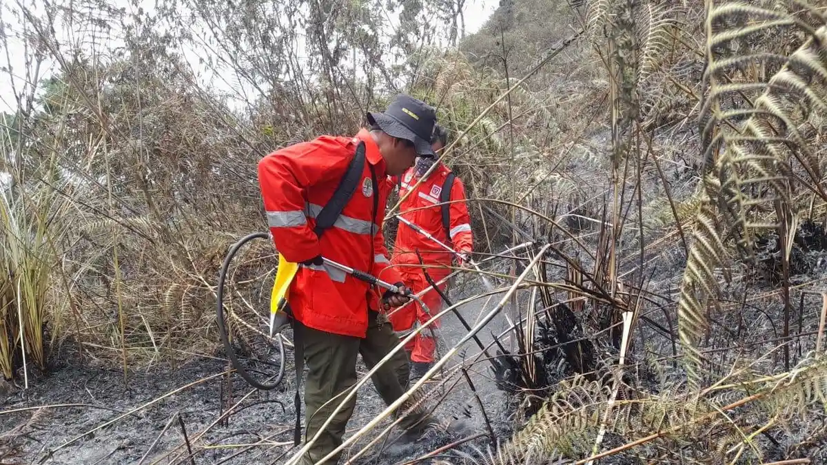 Manggala Agni Lakukan Mopping Bekas Karhutla di Gunung Sipiso-Piso