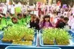 Limbah Botol Plastik Media Tanam Kangkung dan Sawi