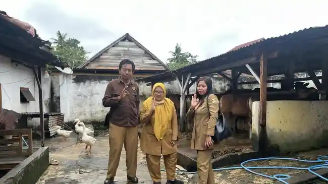 Tribun