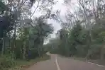 Serunya Merambah Jalan Tembus Kiram Banjar Ke Desa Imban Tanahlaut, Disuguhi Pemandangan Alam