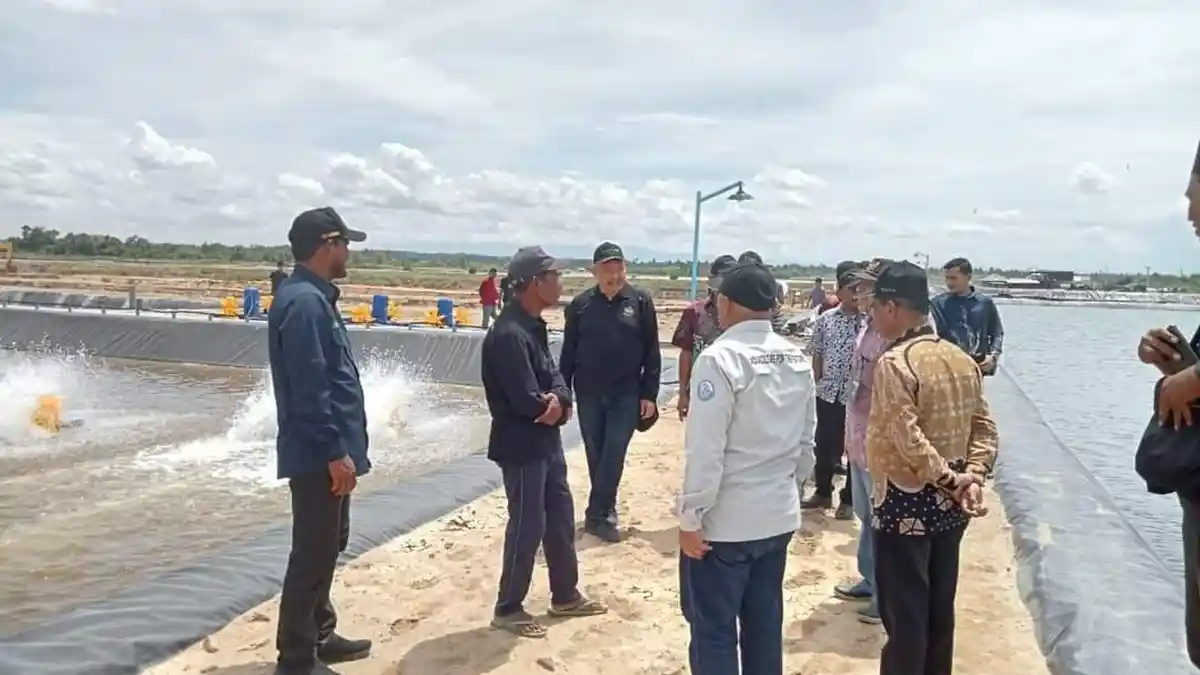 Pj Bupati Tinjau Budidaya Tinjau Tambak Udang Milik Mantan Bupati Aceh Timur