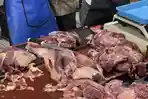 Harga Daging di Pasar Terong Makassar Mulai Naik, Diprediksi Kembali Merangkak Jelang Lebaran