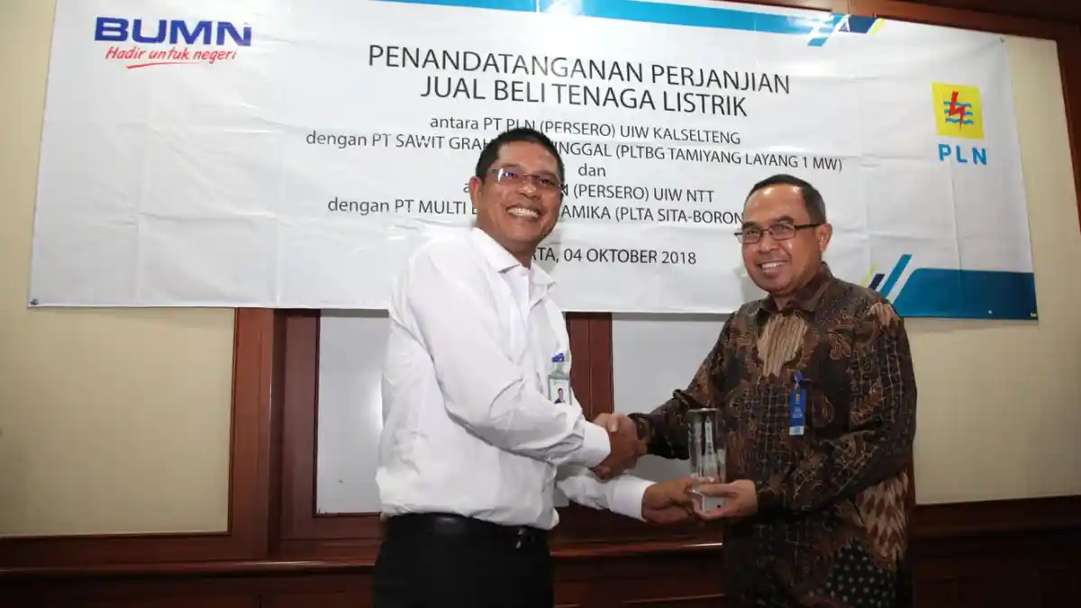 Kalteng dan NTT Bakal Tambah Listrik dari EBT