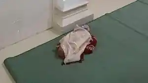 Masyarakat-Gampong-Leupe-Aceh-Jaya-digemparkan-dengan-penemuan-bayi-perempuan.jpg