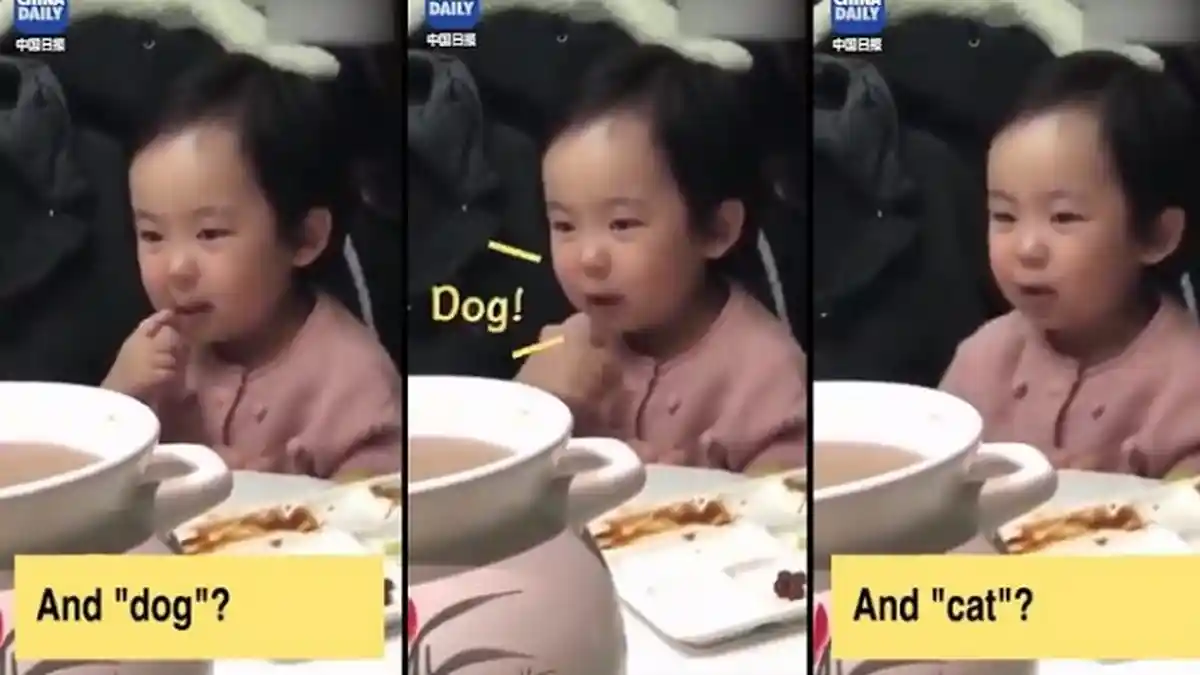 Viral! Aksi Menggemaskan Bocah Cina Saat Mengatakan Kucing dalam Bahasa Inggris