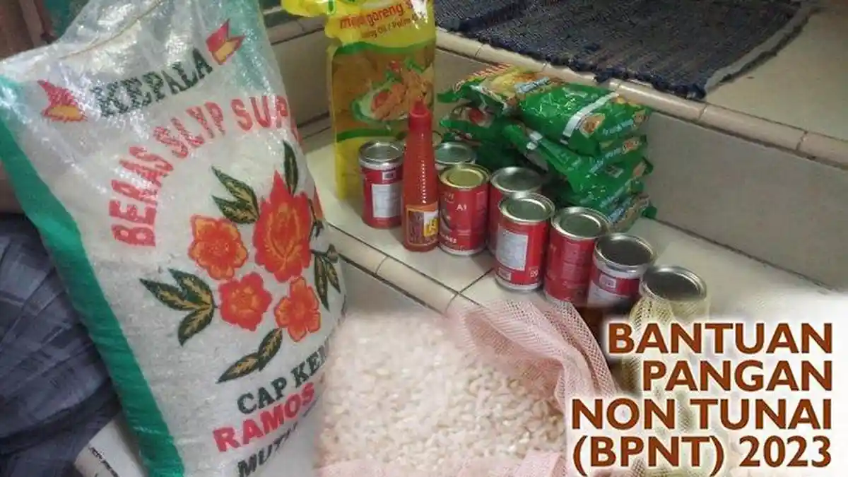 Catat! KPM Perlu Cek Data yang Tidak Sesuai, Penyebab Tidak Menerima Bansos PKH dan BPNT Tahun 2024