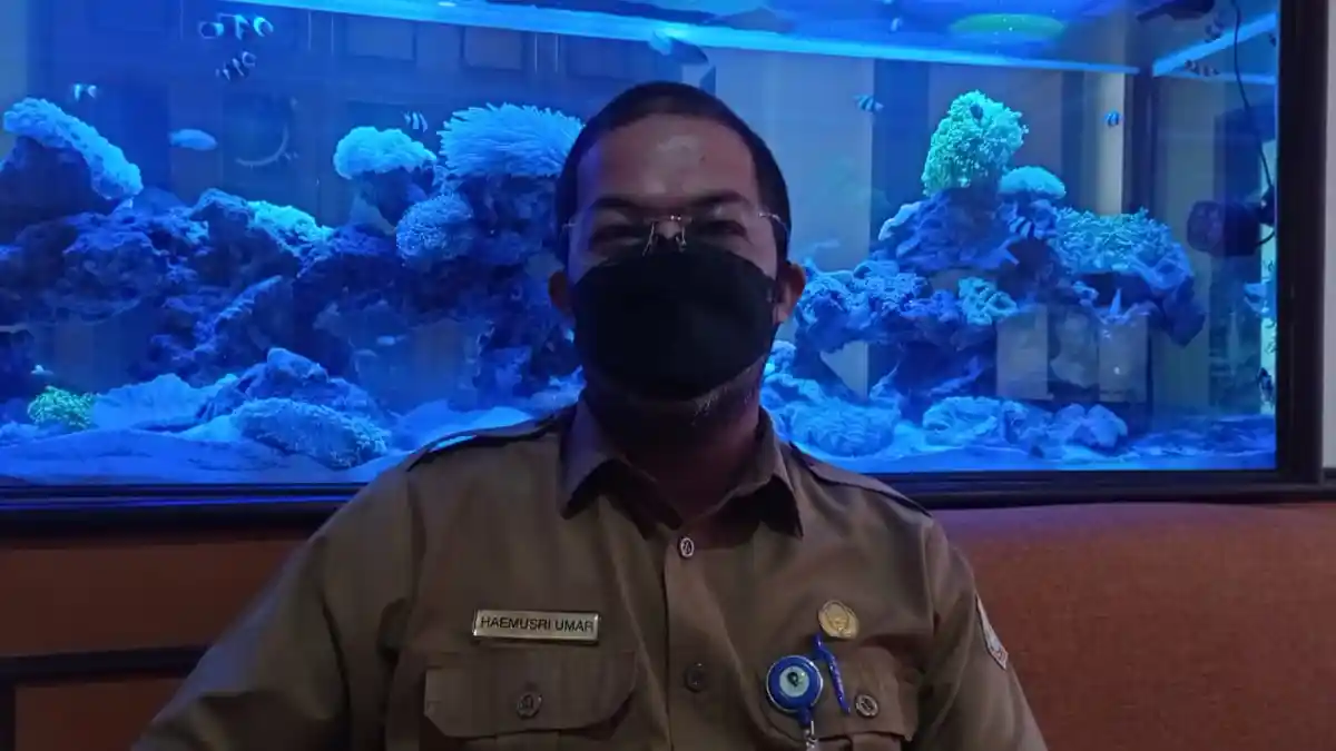 Penerimaan Pajak Menyusut, Pendapatan Empat Sektor Ini di Balikpapan Paling Terdampak Selama Pandemi