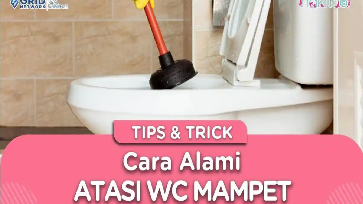 Jangan Panik! Ini Tips & Trik Mengatasi WC Mampet dengan Aman