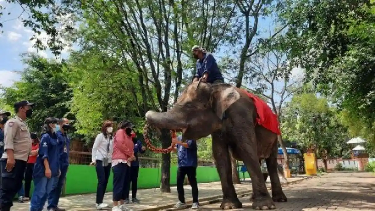Diprediksi Ramai saat Libur Lebaran, Objek Wisata di Semarang Mulai Bersiap Sambut Wisatawan