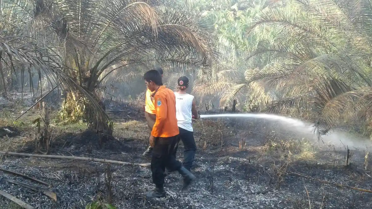 BMKG Jambi Mencatat 32 Titik Panas di Provinsi Jambi Awal Agustus Ini