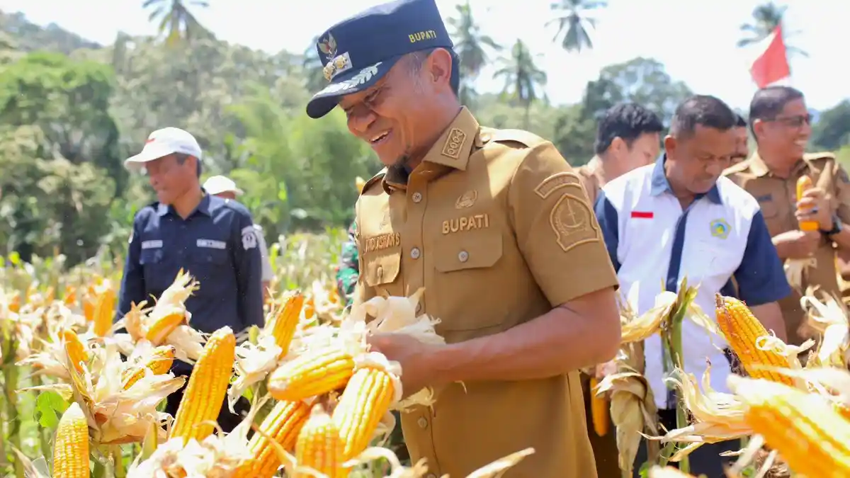 Andi Asman: Stok Beras dan Gula Bone Tertinggi