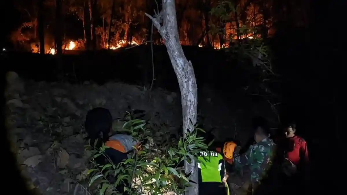 Kebakaran Hutan di Ponorogo Capai 70,2 Hektar, BPBD Curigai Ada Unsur Kesengajaan