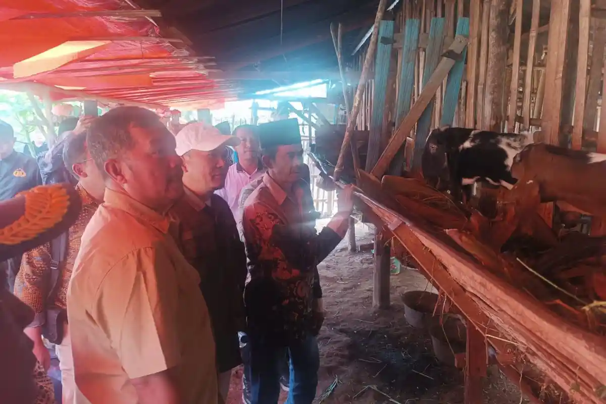 Desa Batang Sangir, Kampung Kambing Etawa yang Kian Berkembang di Kerinci Jambi