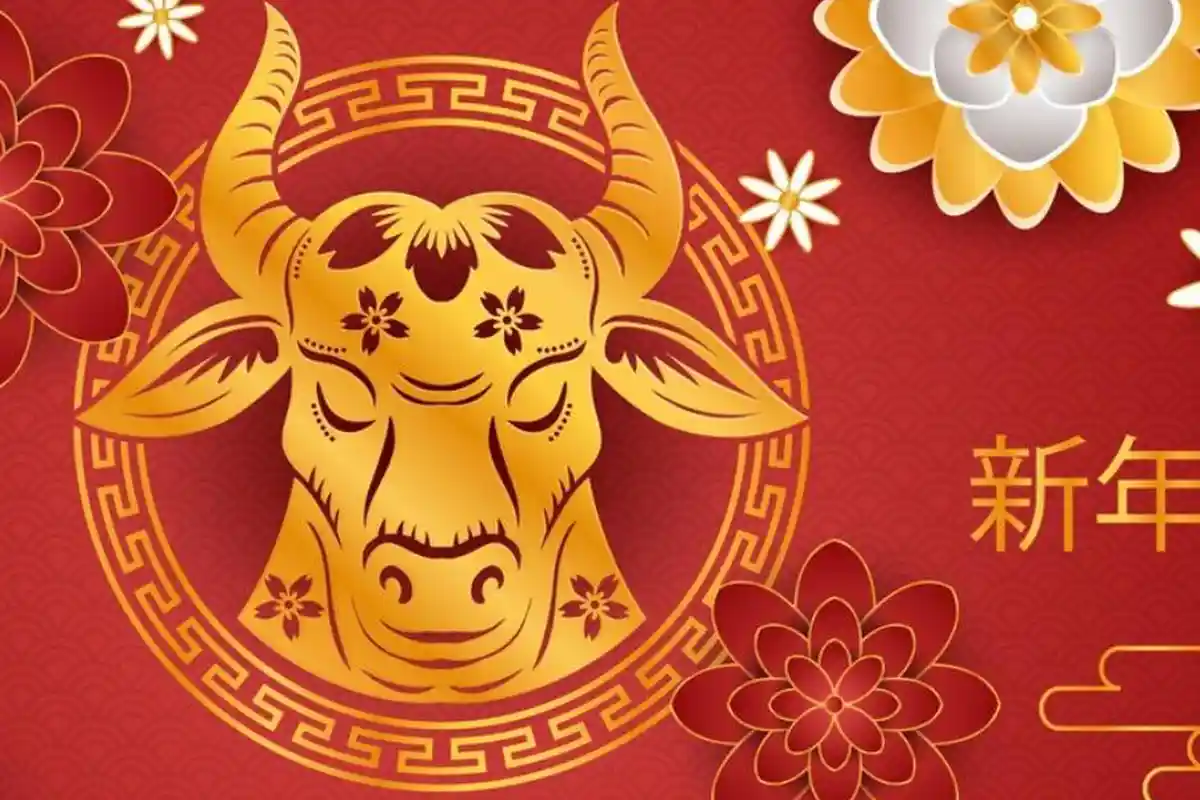 Ramalan Shio Kerbau 2025 di Tahun Ular Kayu Imlek 2576 Kongzili Lengkap Jodoh, Nasib dan Keuangan