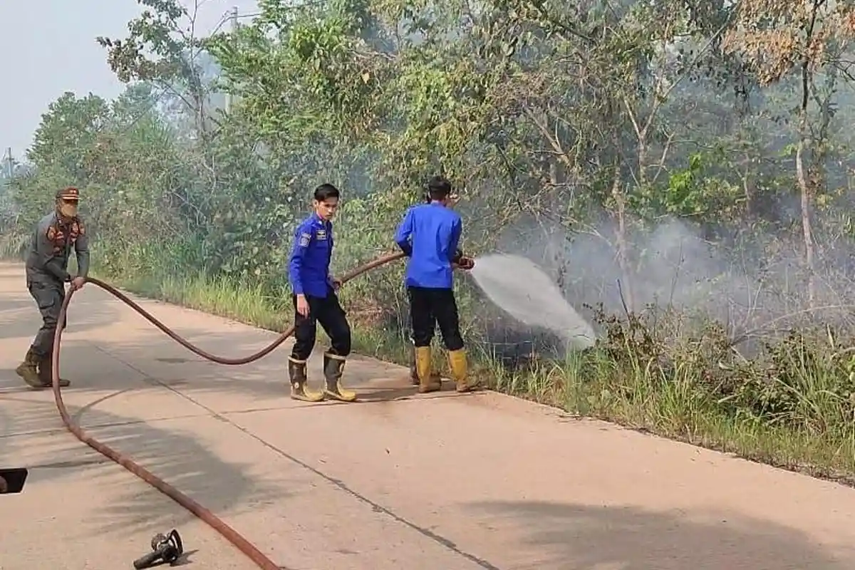 Dua Hektare Lahan Sawit Warga di Desa Bukit Baling Muaro jambi Terbakar