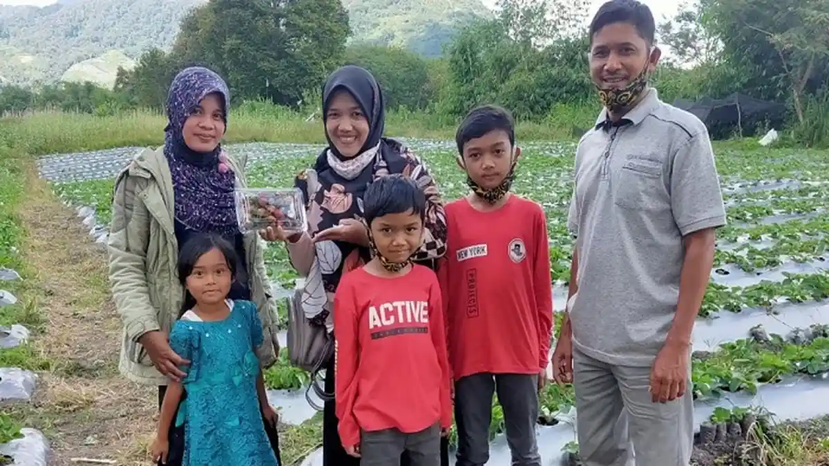 Wisata Kebun Stroberi Bener Meriah, Berastaginya Aceh