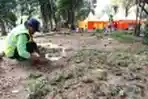 Percantik Taman Lapangan Banteng