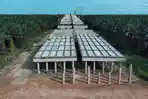 Tol-Betung-Jambi-Seksi-2A-dan-2B-Ditargetkan-Rampung-2027-Bisa-Pangkas-Waktu-Hingga-3-4-Jam.jpg