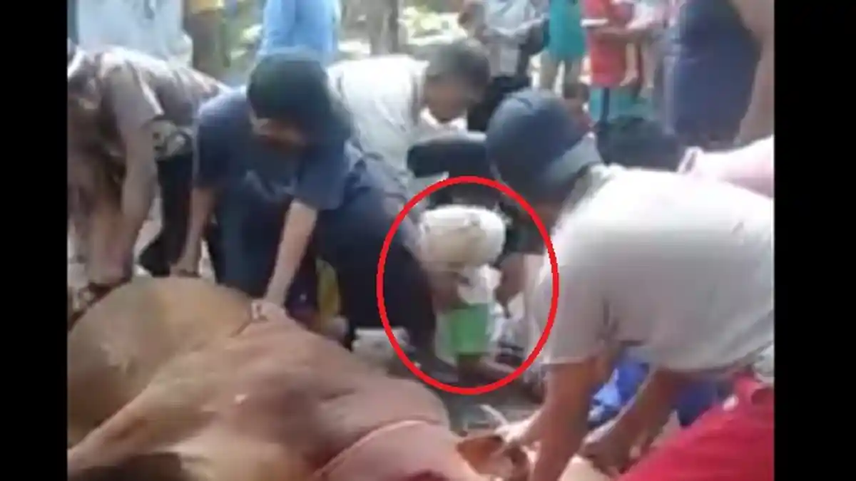 Memilukan! Penjagal Meninggal Mendadak Usai Sembelih Hewan Kurban, Penyebabnya Tak Terduga