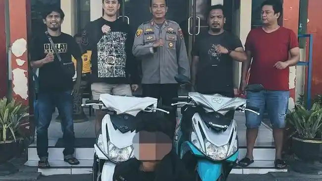 Tribun