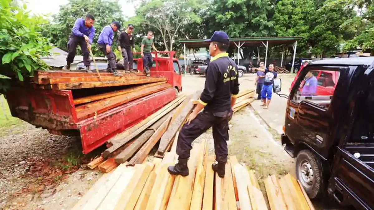 Sulsel Daerah Rawan Pembalakan dan Perambahan Hutan