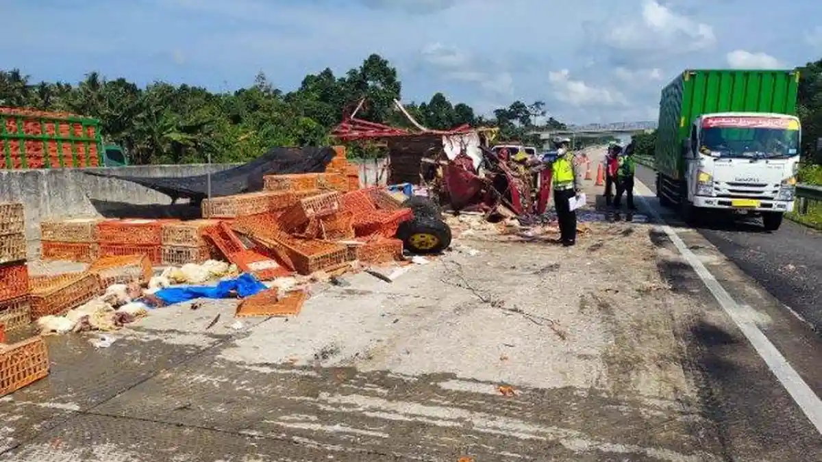 Cara Menolong Korban Kecelakaan di Jalan Tol Agar Aman untuk Diri Sendiri dan Pengguna Lain