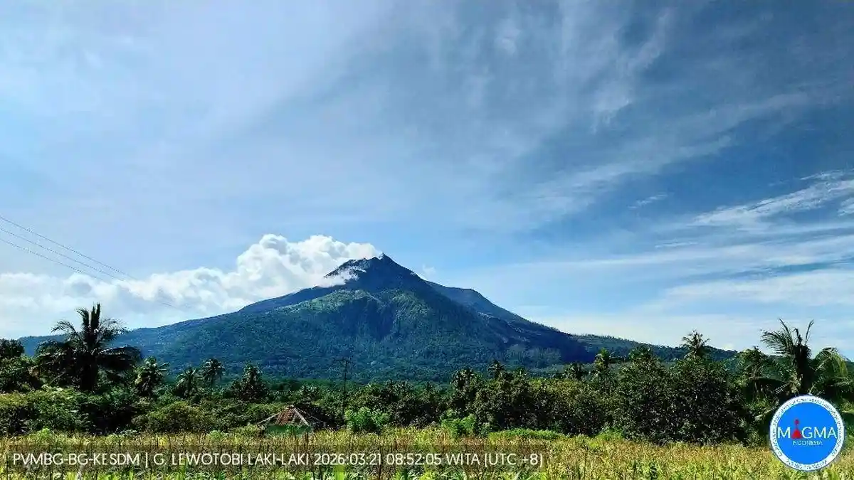 24 Jam Terakhir, Gunung Lewotobi 13 Kali Gempa Hembusan 1 Harmonik 