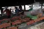 Produksi Ikan Asin Pada Musim Kemarau