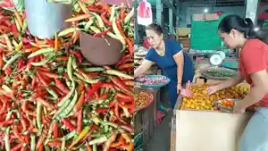 Harga-cabai-rawit-di-Kotamobagu-Sulawesi-Utara-mengalami-penurunan09.jpg