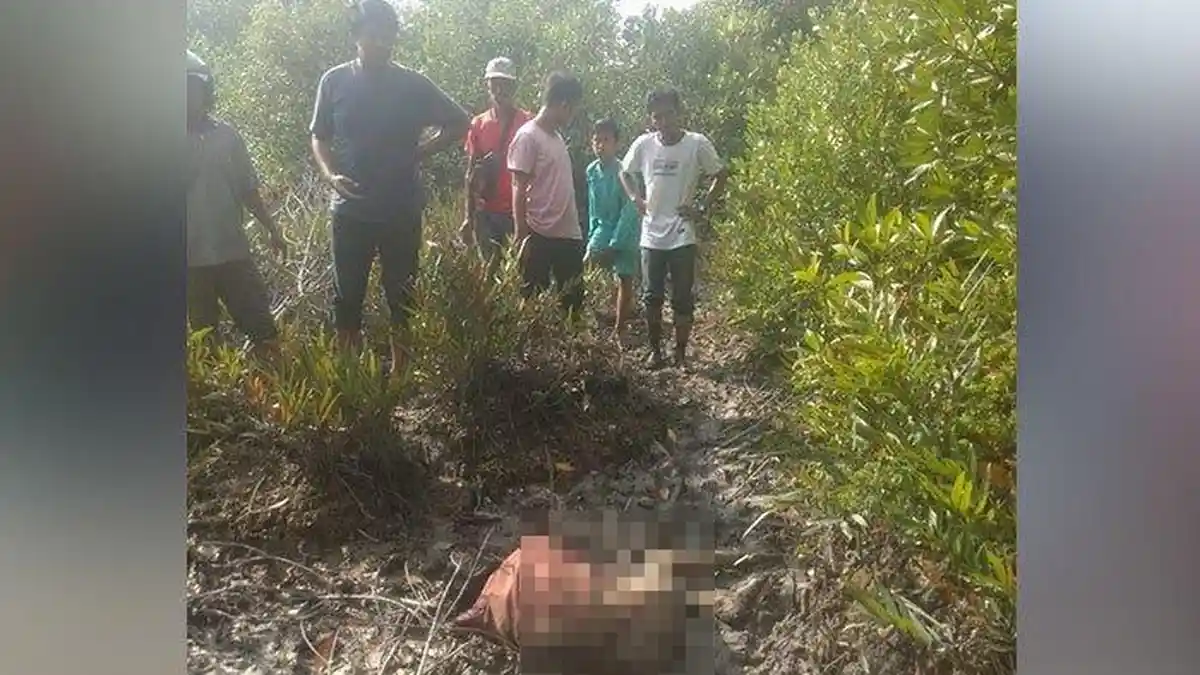 Jasad Sijik Penuh Lumpur Ditemukan di Hutan Bakau