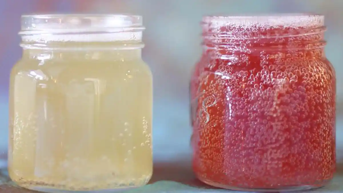 Manfaat Teh Kombucha, Teh Fermentasi yang Mengandung Banyak Bakteri Probiotik