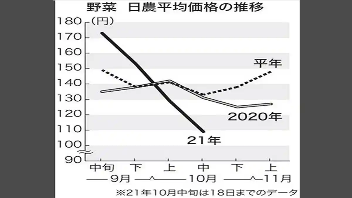 Pertengahan Oktober 2021 Pasar Sayuran di Jepang Anjlok
