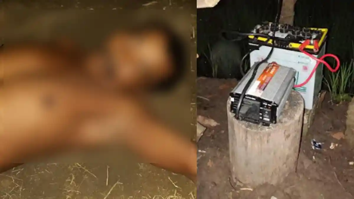 Petani Gresik Tersengat Listrik Jebakan Tikus di Sawah, Sempat Teriak Sebelum Tewas