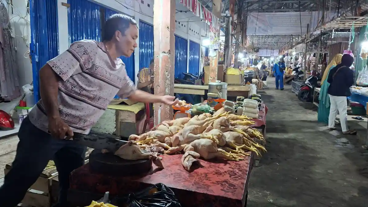 Harga Ayam Potong di Pasar Kayuagung OKI Tembus Rp42.000 Perkilo, Pedagang Daging Sapi Sepi Pembeli