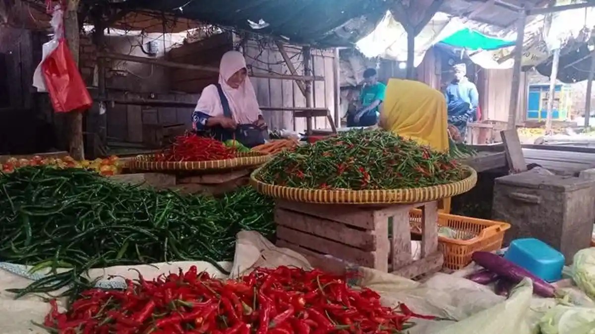 Harga Meroket, Petani di OKU Selatan Manfaatkan Musim Hujan Tanam Cabai