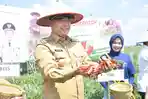 Wali-Kota-Jambi-Syarif-Fasha-panen-cabai-2.jpg