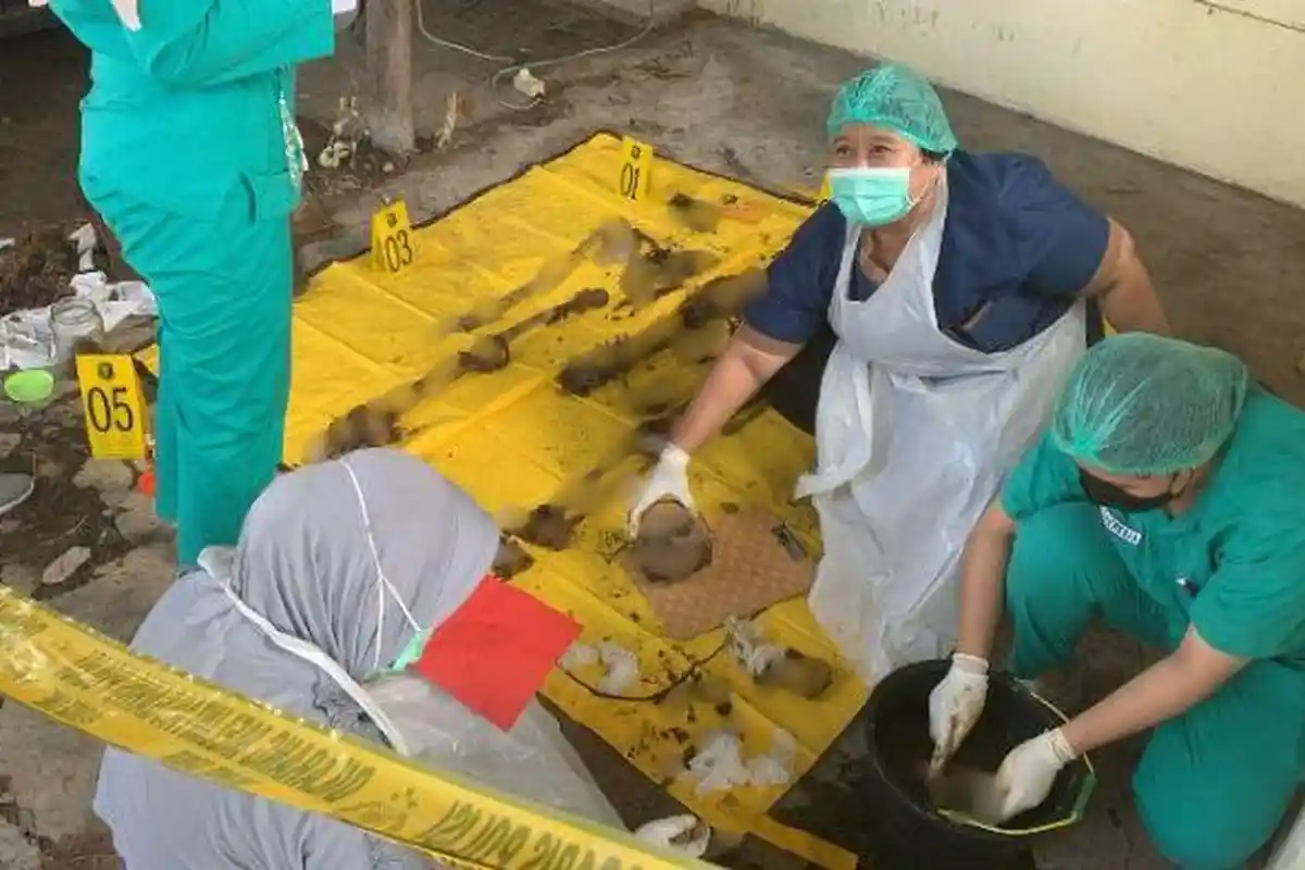 4 Siasat Propam Polsek Gresik Tuntaskan Kasus Penemuan Kerangka Manusia di Mobil Eks Kanit Reskrim