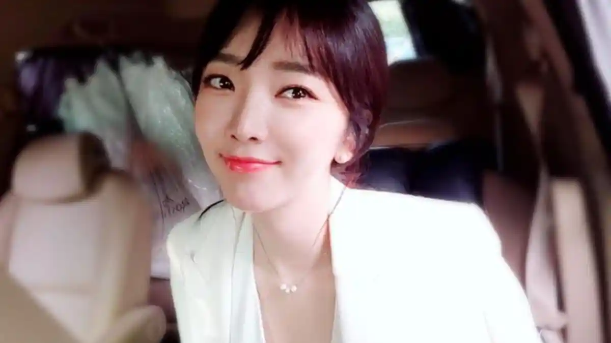 Rekomendasi Drama Korea Terbaru Bae Seul Gi, Pemeran di Battle for Happiness