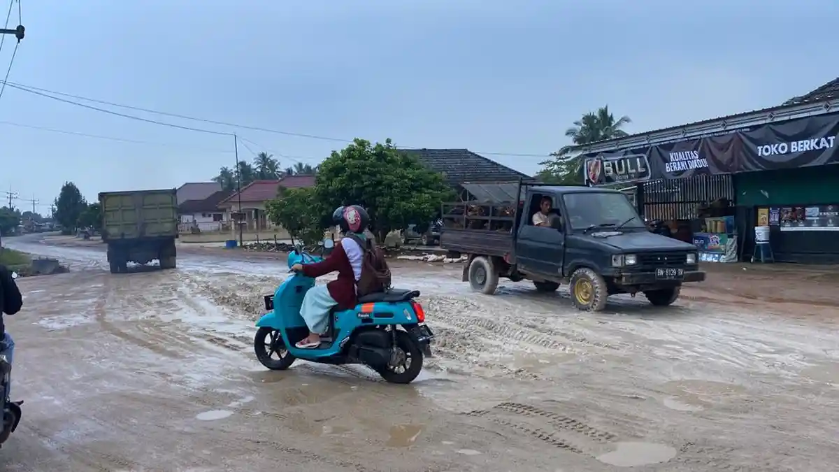 Ruas Jalan Koba Lubuk Besar Banyak Yang Rusak Parah Warga Disurvei