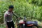 Sepeda-Motor-terjun-ke-jurang.jpg