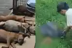 BOCAH-TEWAS-DIGIGIT-ANJING-Penampakan-korban-saat-ditemukan-KIRI.jpg