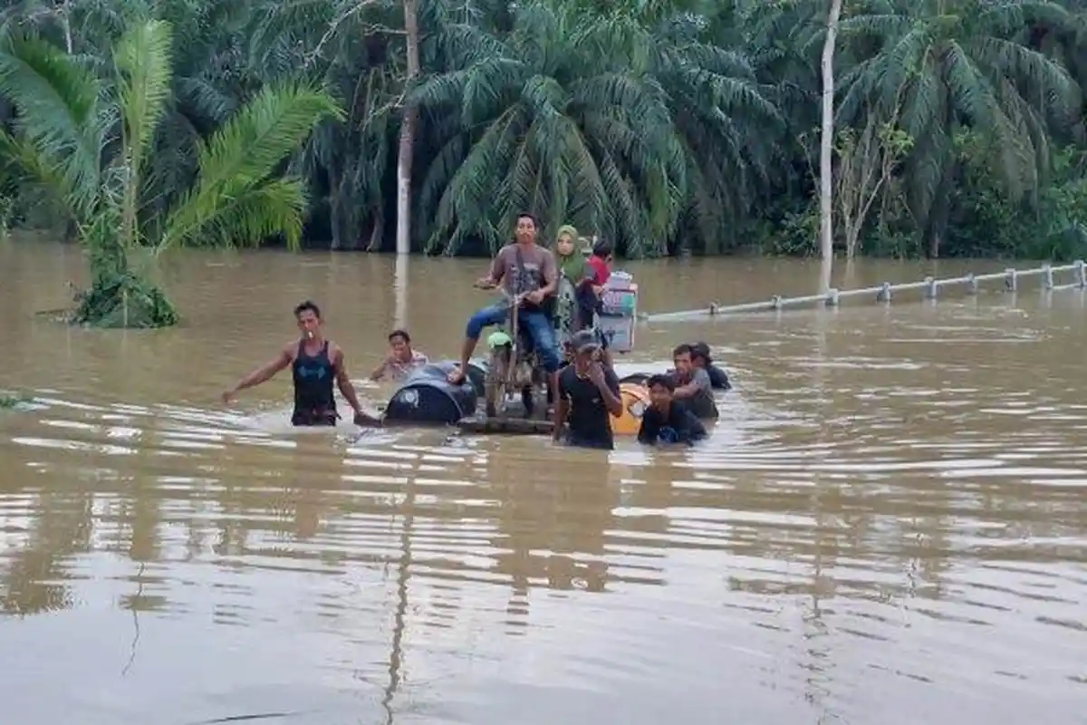 11 Kecamatan di Aceh Timur Masih Dilanda Banjir, Pemerintah Tetapkan Status Bencana