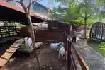 wisata-piataland-kota-malang.jpg