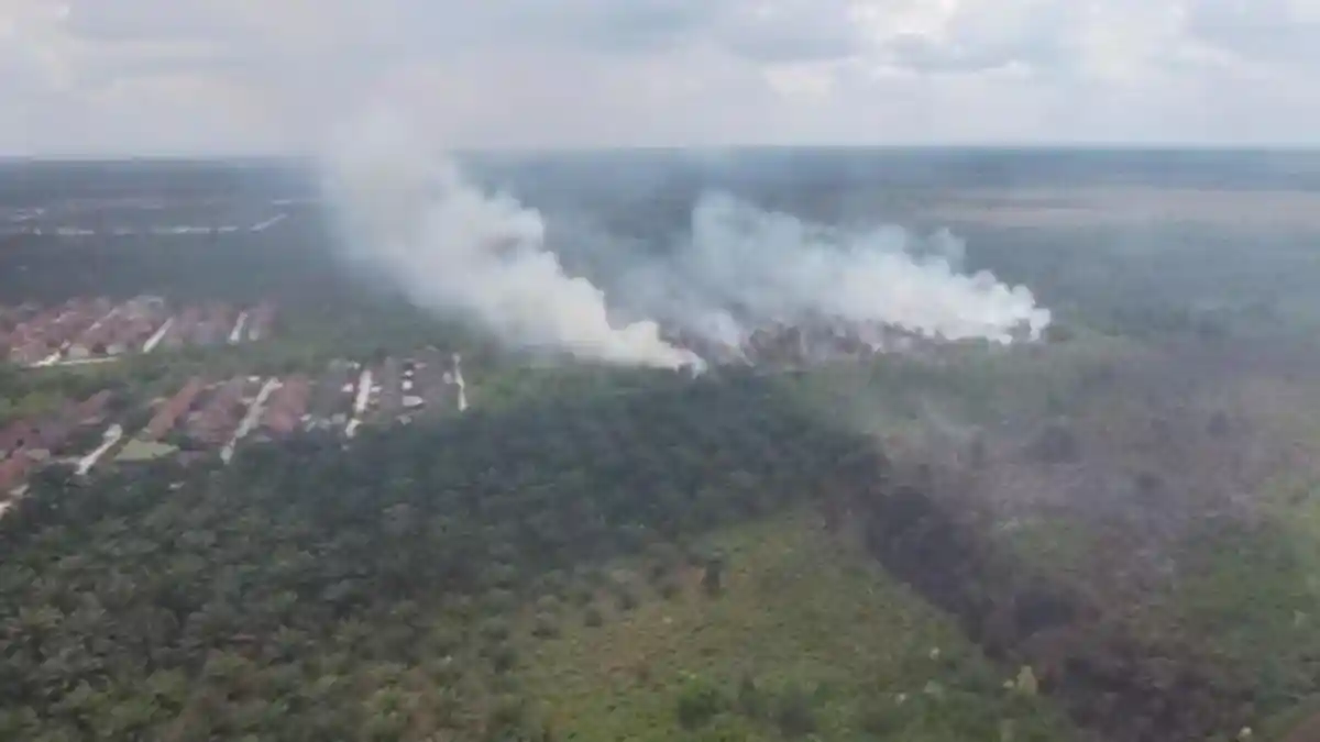 Kebakaran Kawasan Hutan di Rimbo Panjang Kampar Mendekati Perumahan ...