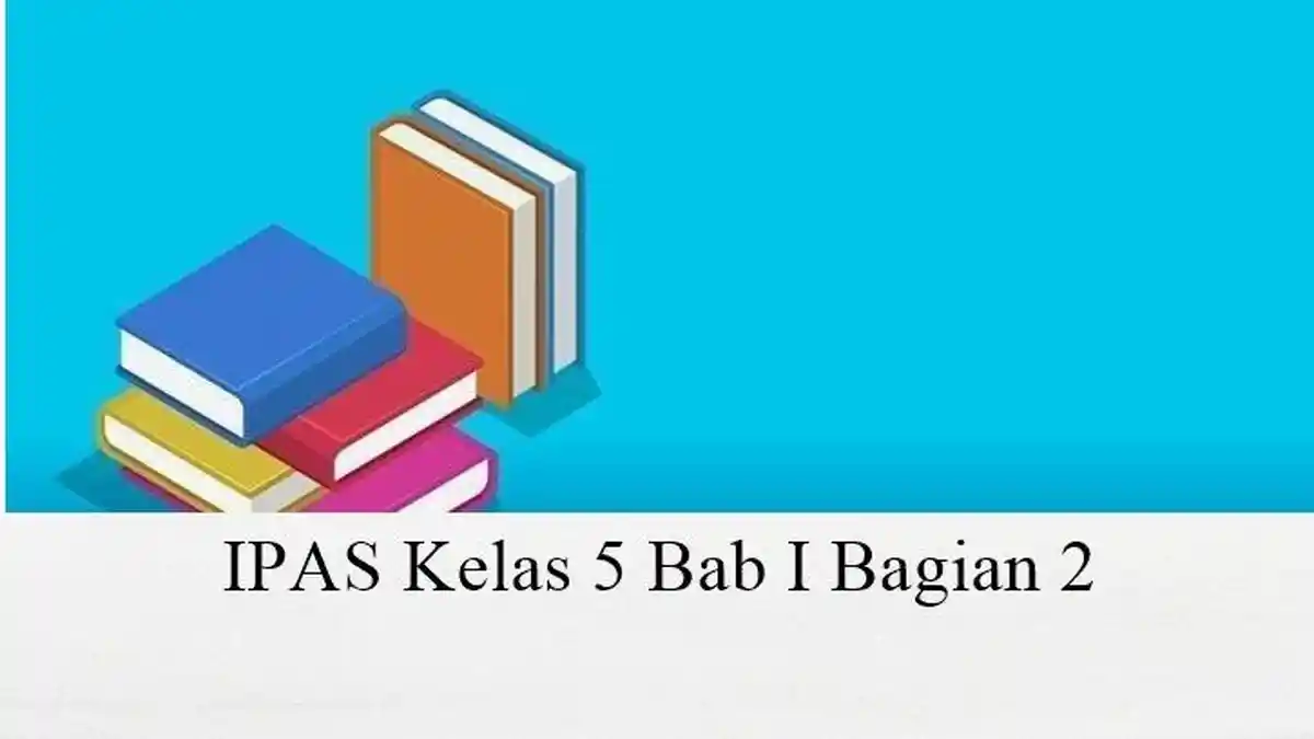 13 Soal Dan Jawaban IPAS Kelas 5 Semester 1 Kurikulum Merdeka, Bab 1 Melihat Karena Cahaya